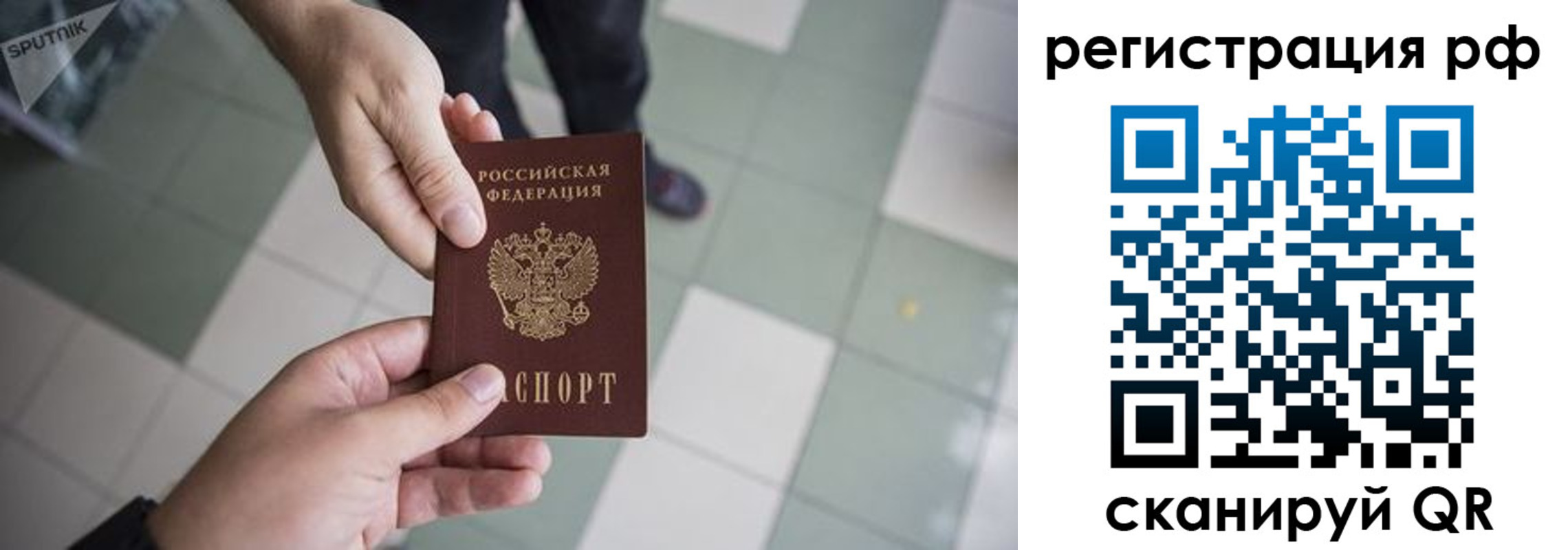 прописка гарантия в Моршанске
